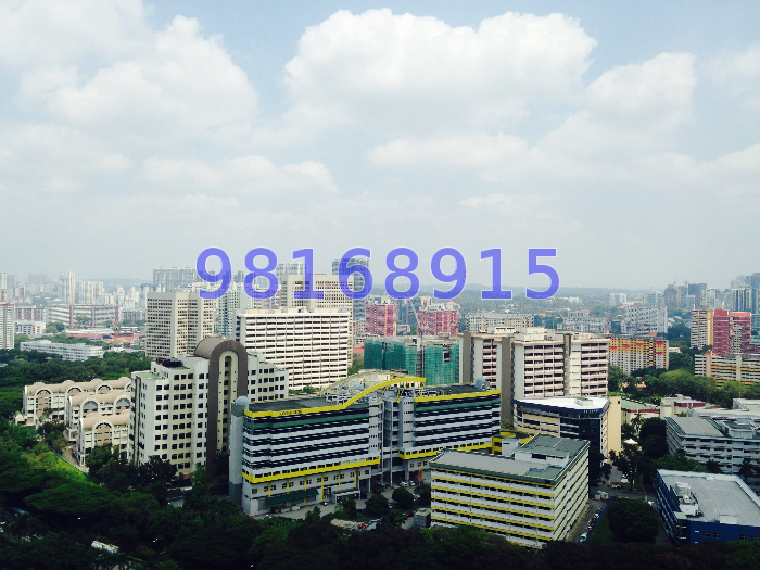Blk 17A Telok Blangah Crescent (Bukit Merah), HDB 4 Rooms #47821942